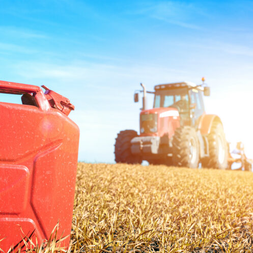 img-1733214272-0639-335-019b2ba9644481092bb0aca802b04935