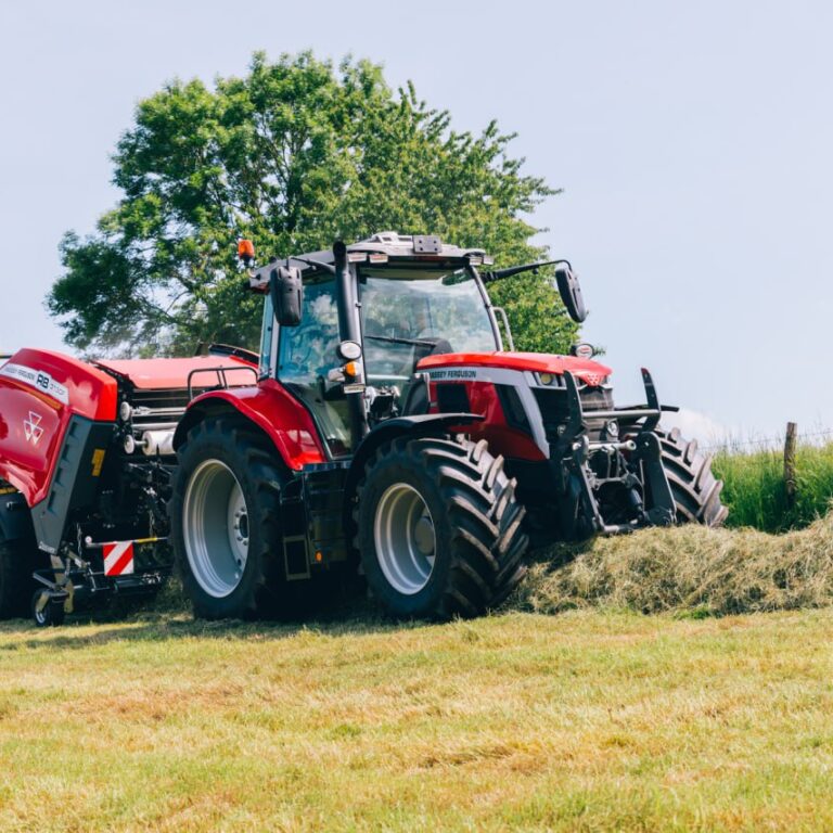 photo_2025-03-26_12-16-12